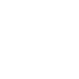 ACCESS